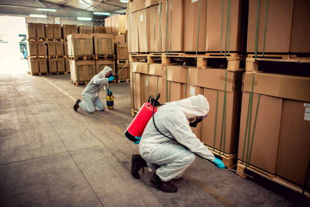 Best Best Pest Control Near Me  in Dover, AR