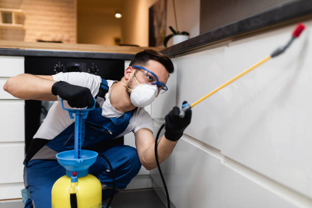 Best Pest Prevention Services  in Dover, AR
