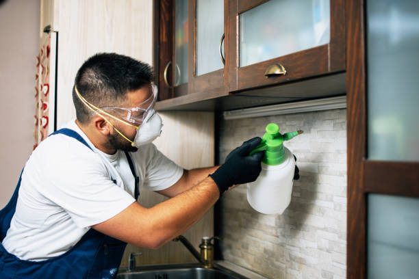 Best Pest Control Near Me in Dover, AR