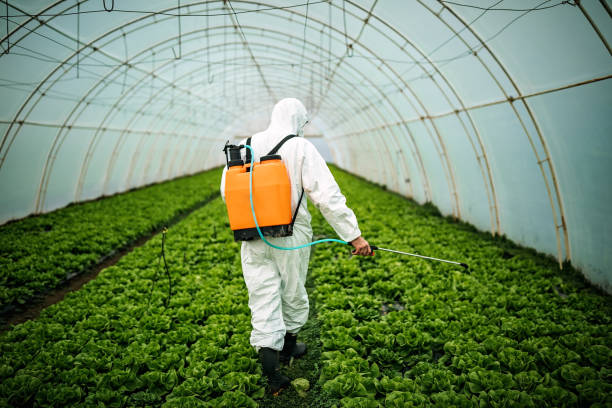 Best Residential Pest Control  in Dover, AR