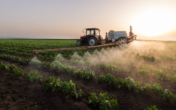 Best Pest Removal Services  in Dover, AR