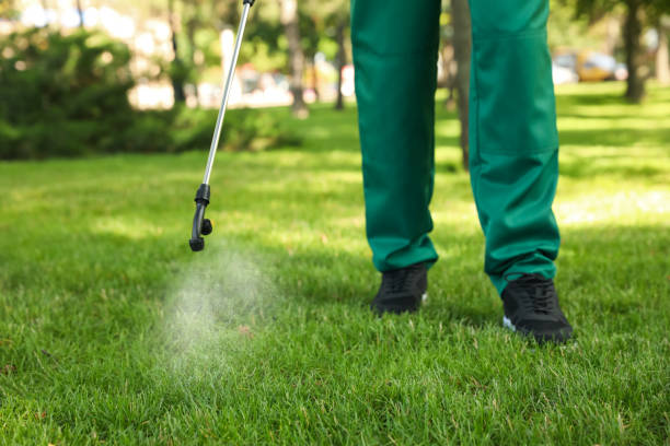 Best Commercial Pest Control Services  in Dover, AR