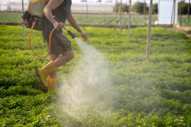 Best Exterminator Services  in Dover, AR