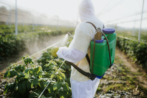 Trusted Dover, AR Pest Control Experts